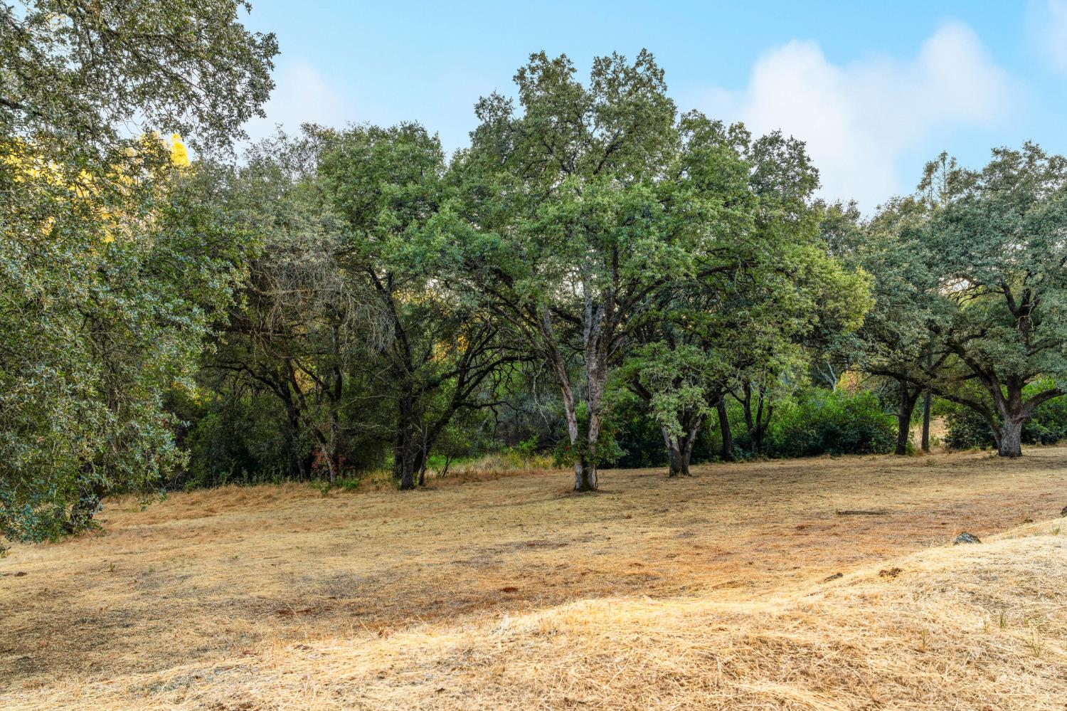 4928 Flying C Road Shingle Springs, CA 95682 - Photo 97 of 99