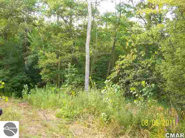 10545 East Remus Road Mount Pleasant, MI 48858 - Photo 20 of 21 1772734-19.JPG