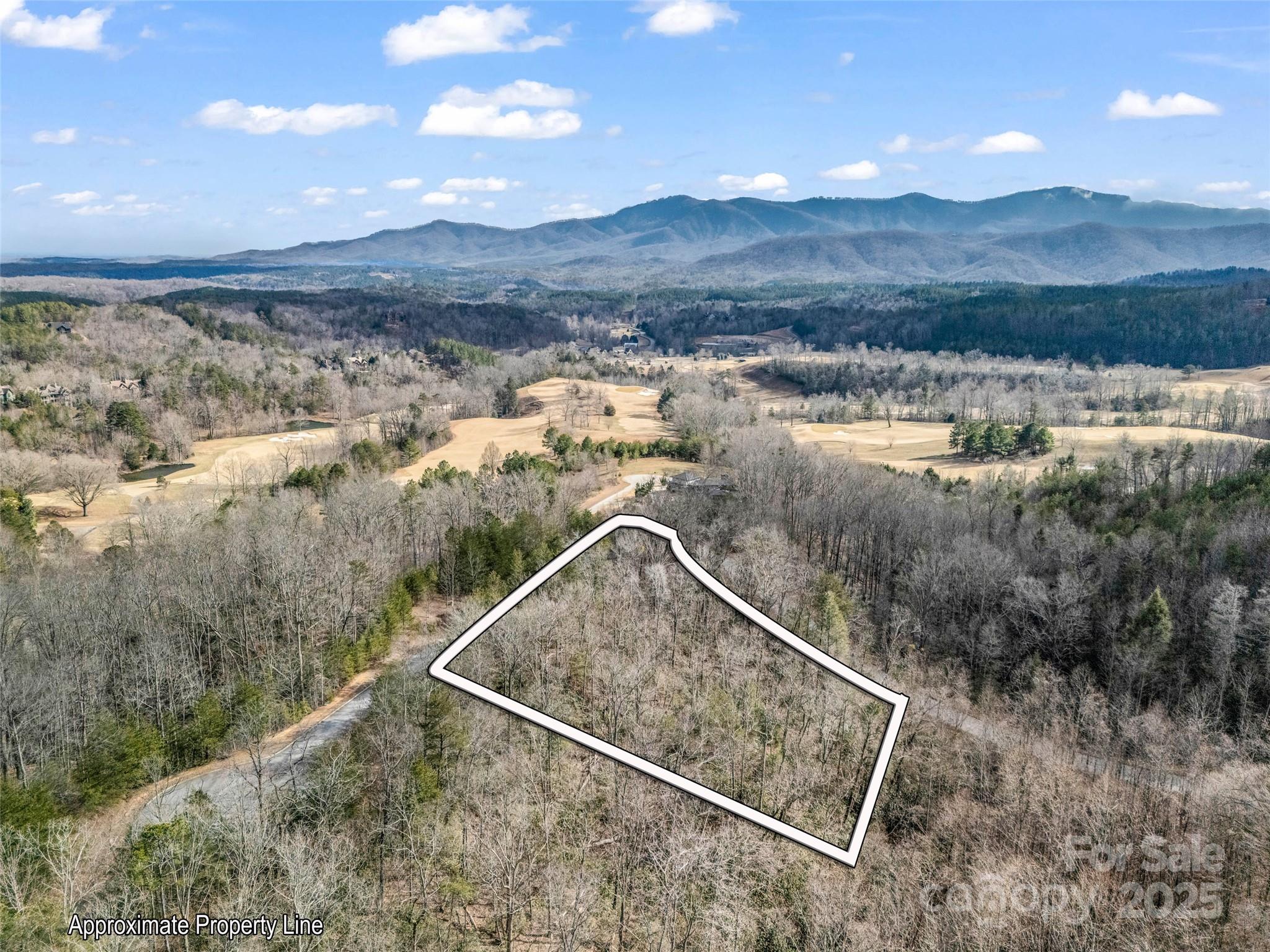 Lot 136 Deep Gap Farm Road East Mill Spring, NC 28756 - Photo 1 of 20