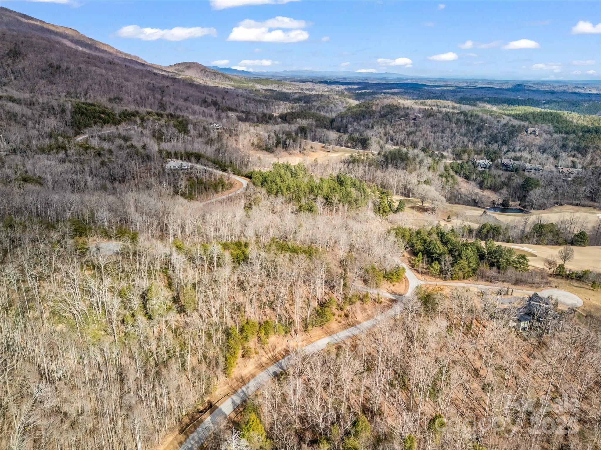 Lot 136 Deep Gap Farm Road East Mill Spring, NC 28756 - Photo 13 of 20
