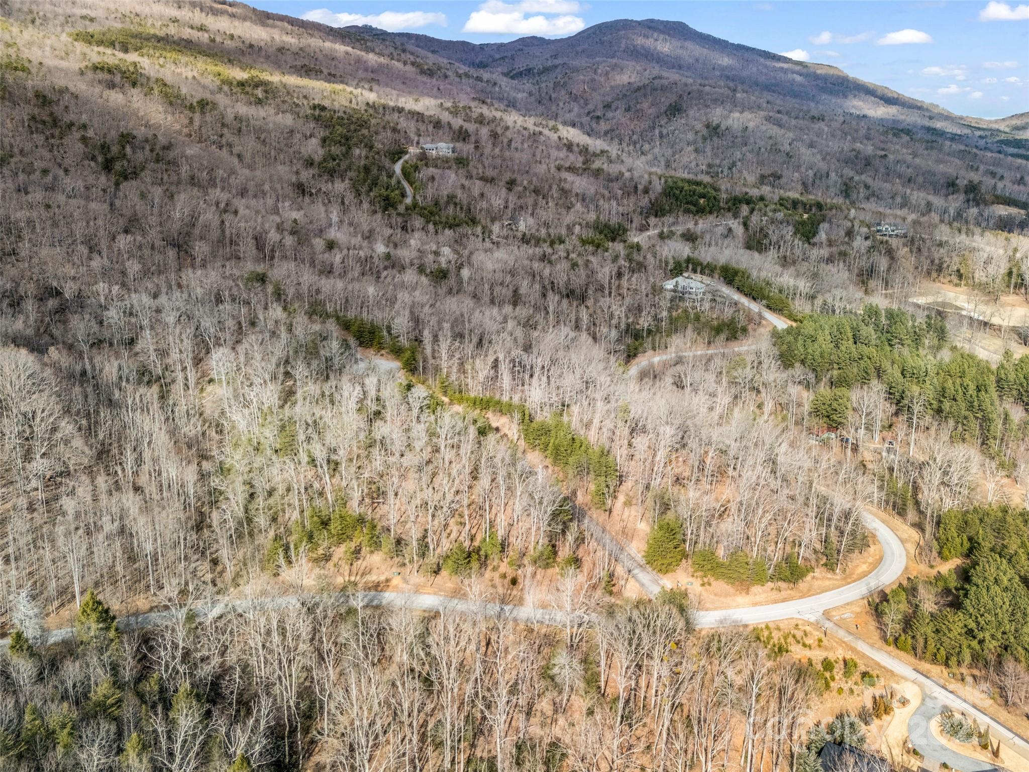 Lot 136 Deep Gap Farm Road East Mill Spring, NC 28756 - Photo 14 of 20