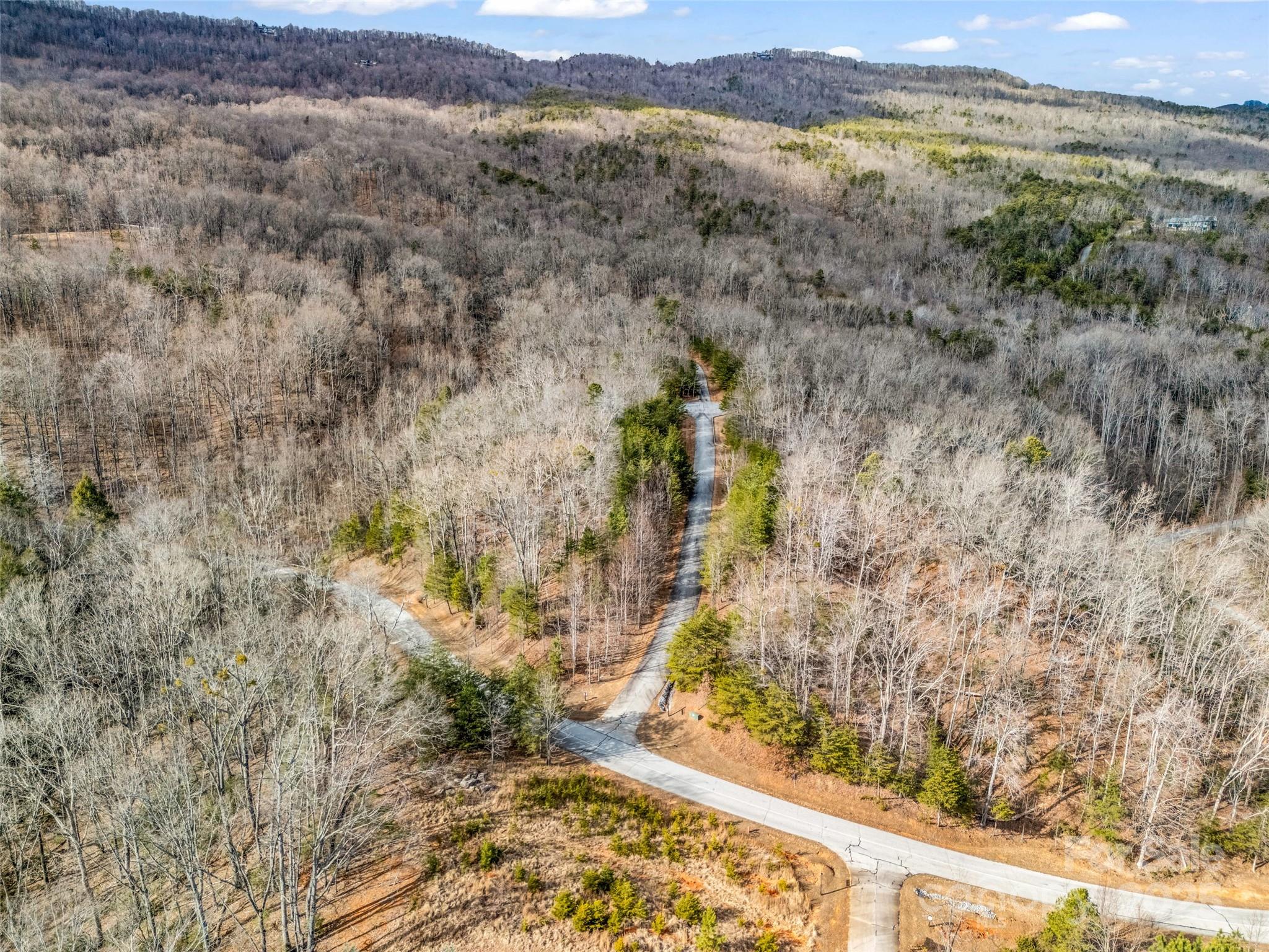 Lot 136 Deep Gap Farm Road East Mill Spring, NC 28756 - Photo 15 of 20