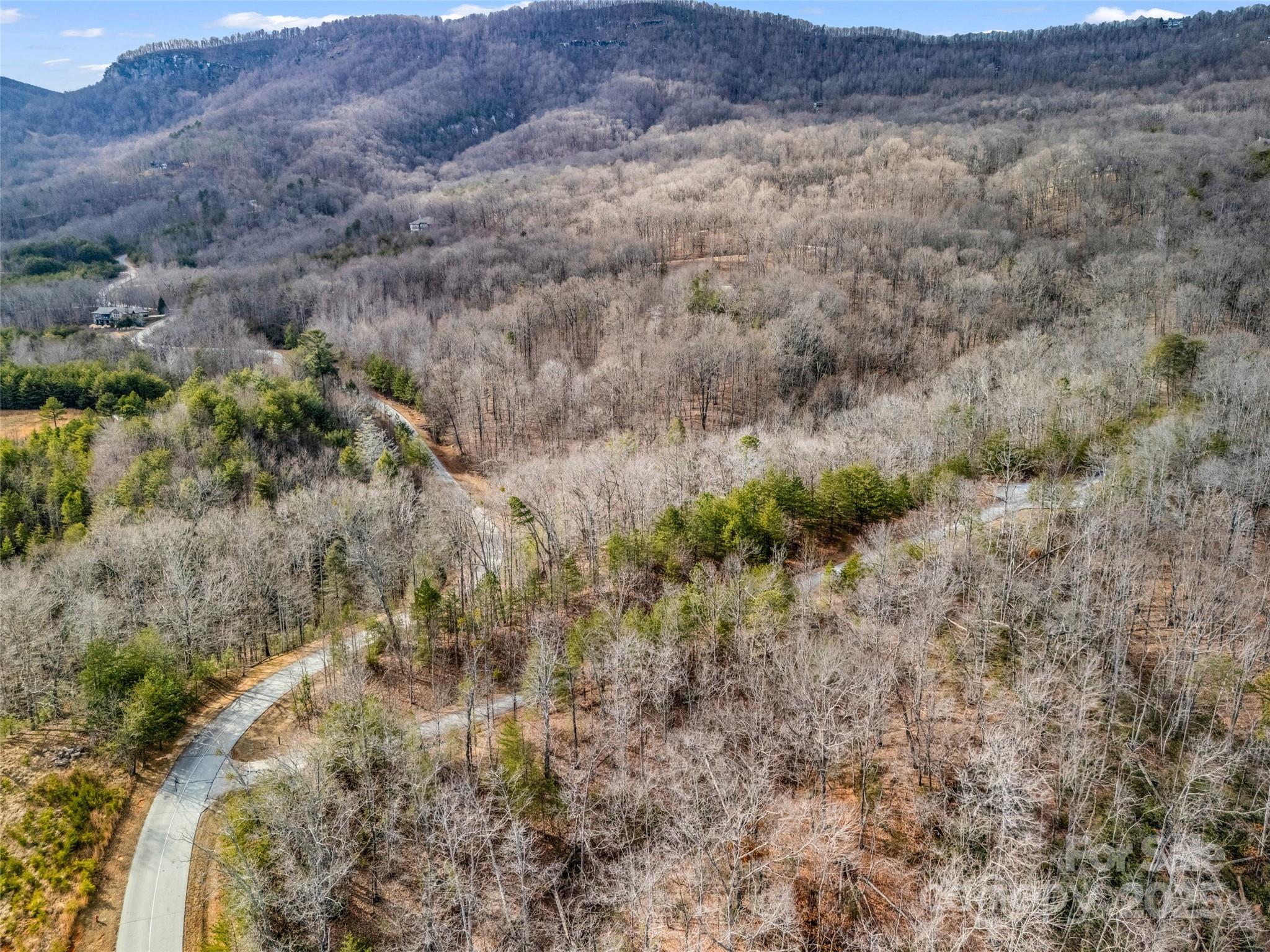 Lot 136 Deep Gap Farm Road East Mill Spring, NC 28756 - Photo 16 of 20