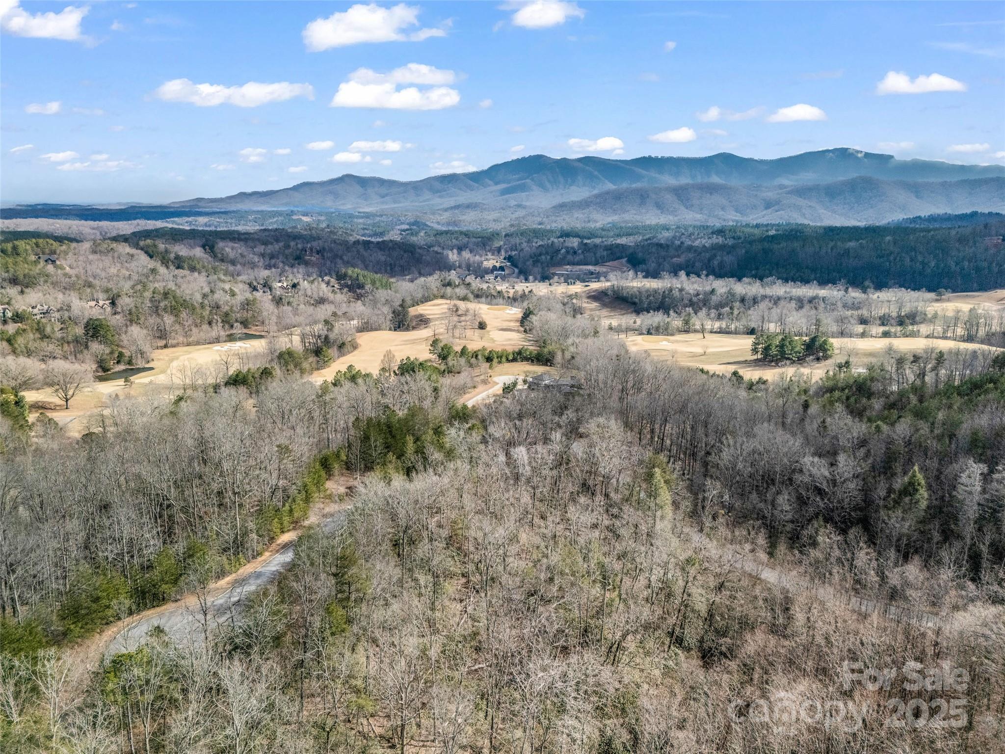Lot 136 Deep Gap Farm Road East Mill Spring, NC 28756 - Photo 18 of 20