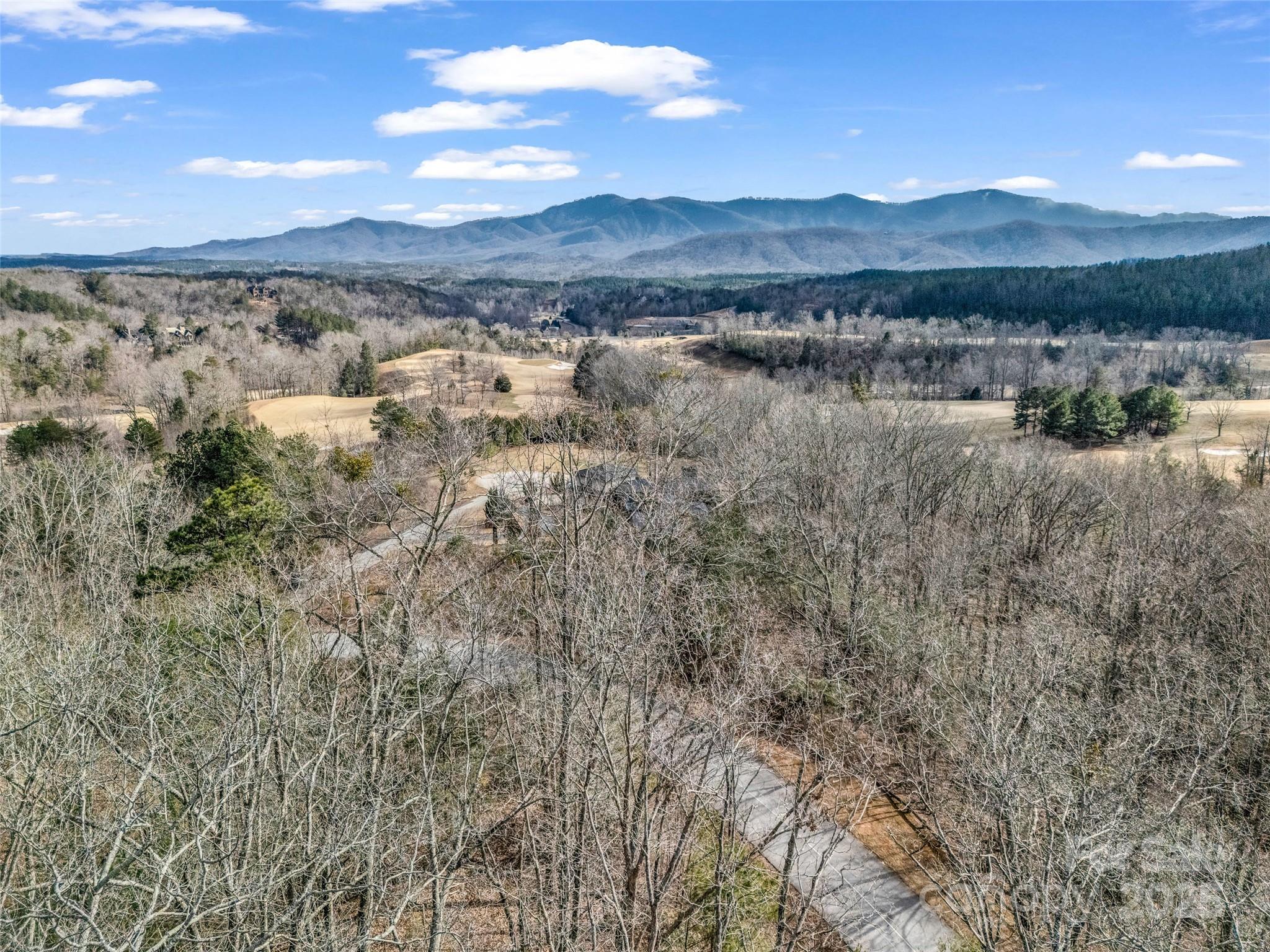 Lot 136 Deep Gap Farm Road East Mill Spring, NC 28756 - Photo 19 of 20