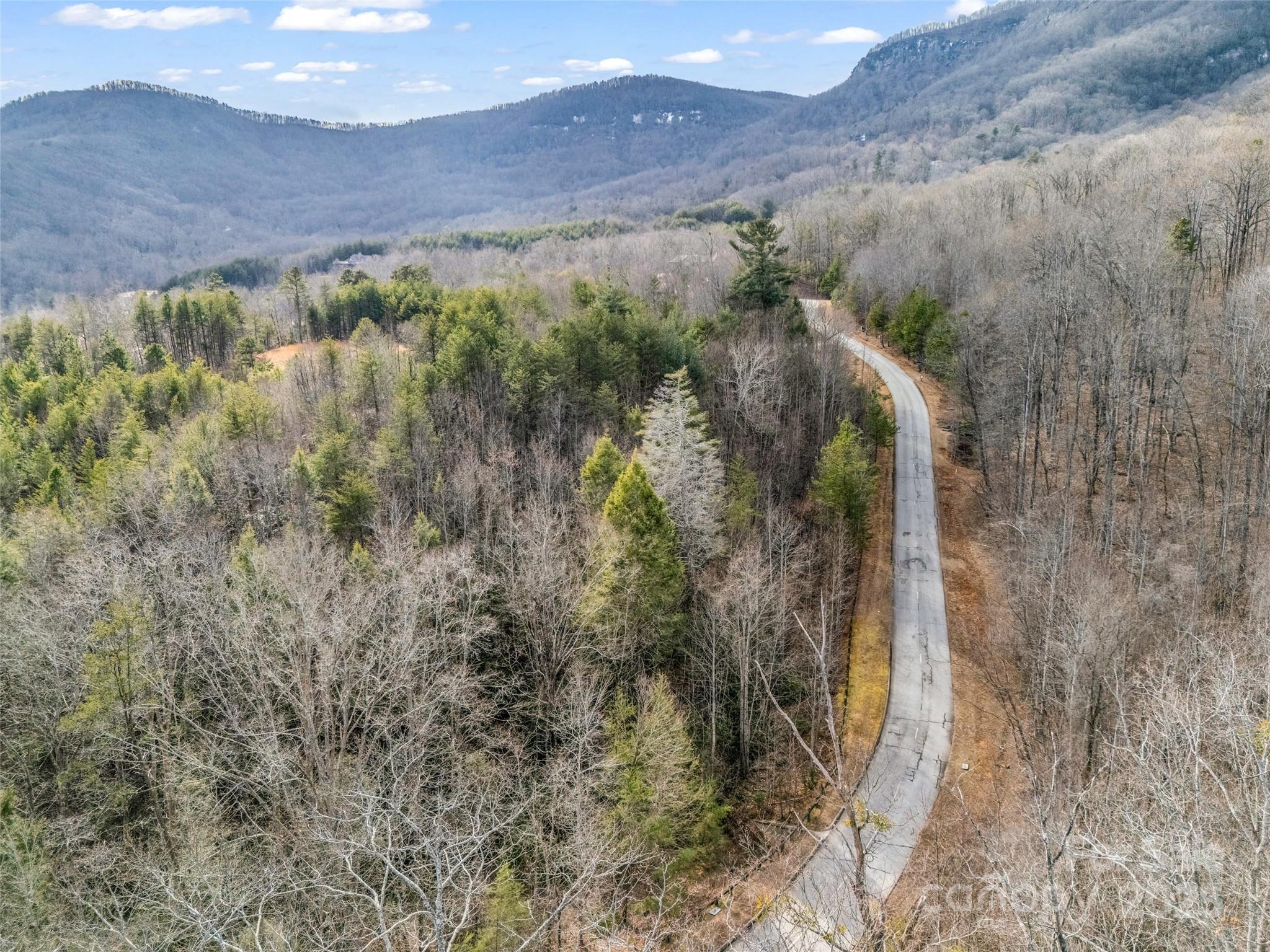Lot 136 Deep Gap Farm Road East Mill Spring, NC 28756 - Photo 20 of 20