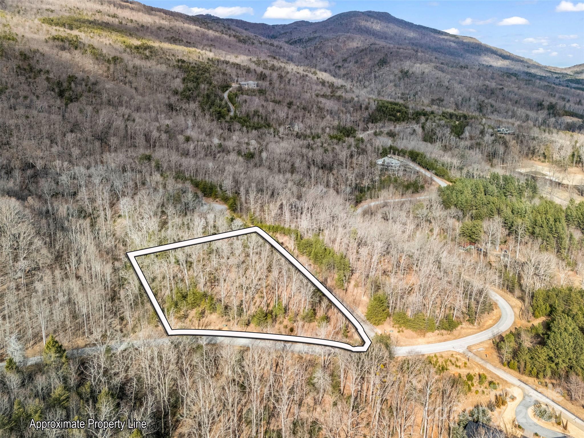 Lot 136 Deep Gap Farm Road East Mill Spring, NC 28756 - Photo 2 of 20