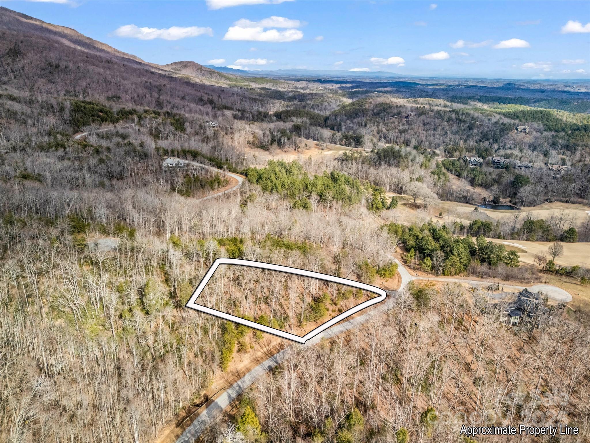 Lot 136 Deep Gap Farm Road East Mill Spring, NC 28756 - Photo 3 of 20