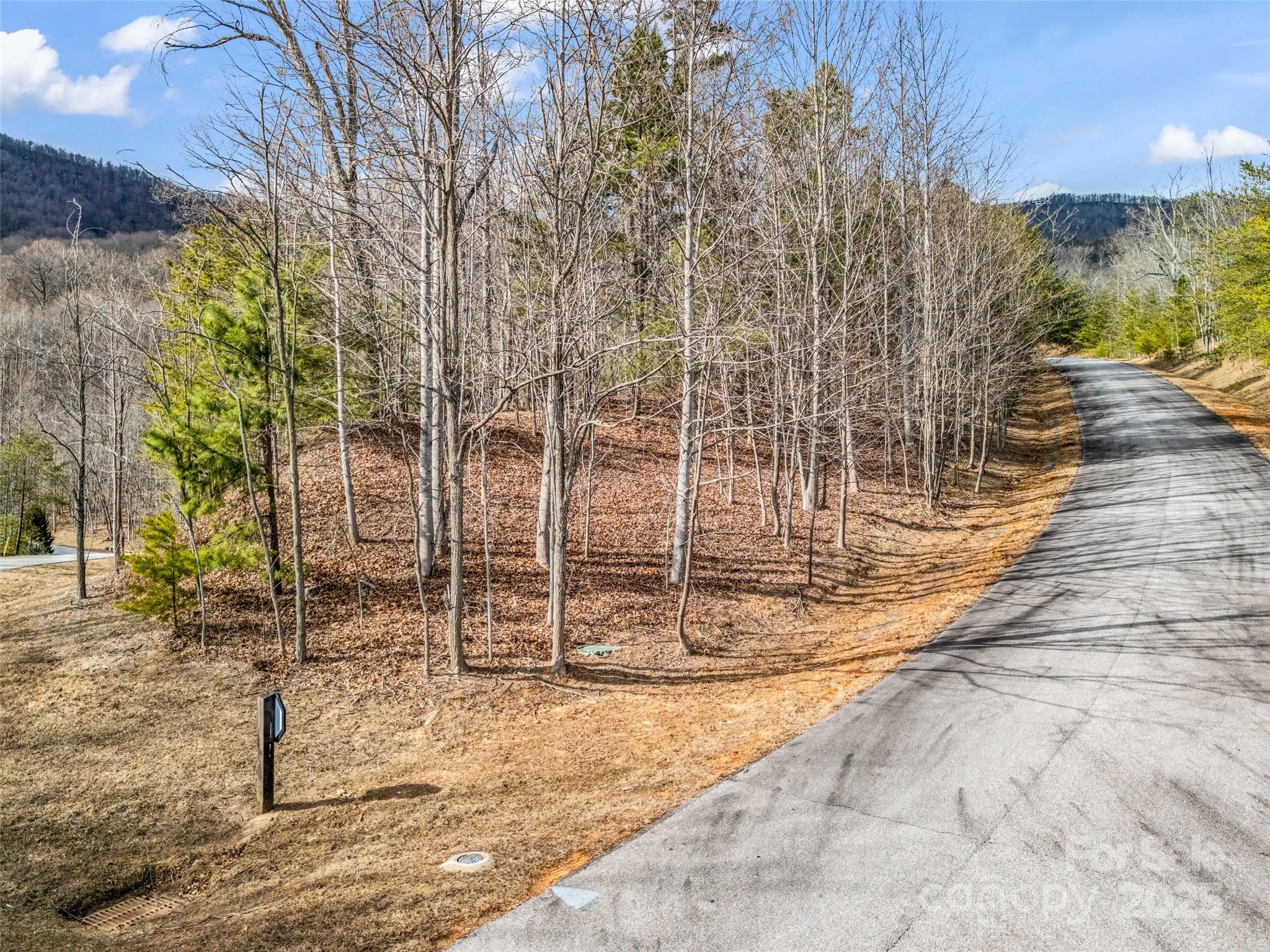 Lot 136 Deep Gap Farm Road East Mill Spring, NC 28756 - Photo 5 of 20