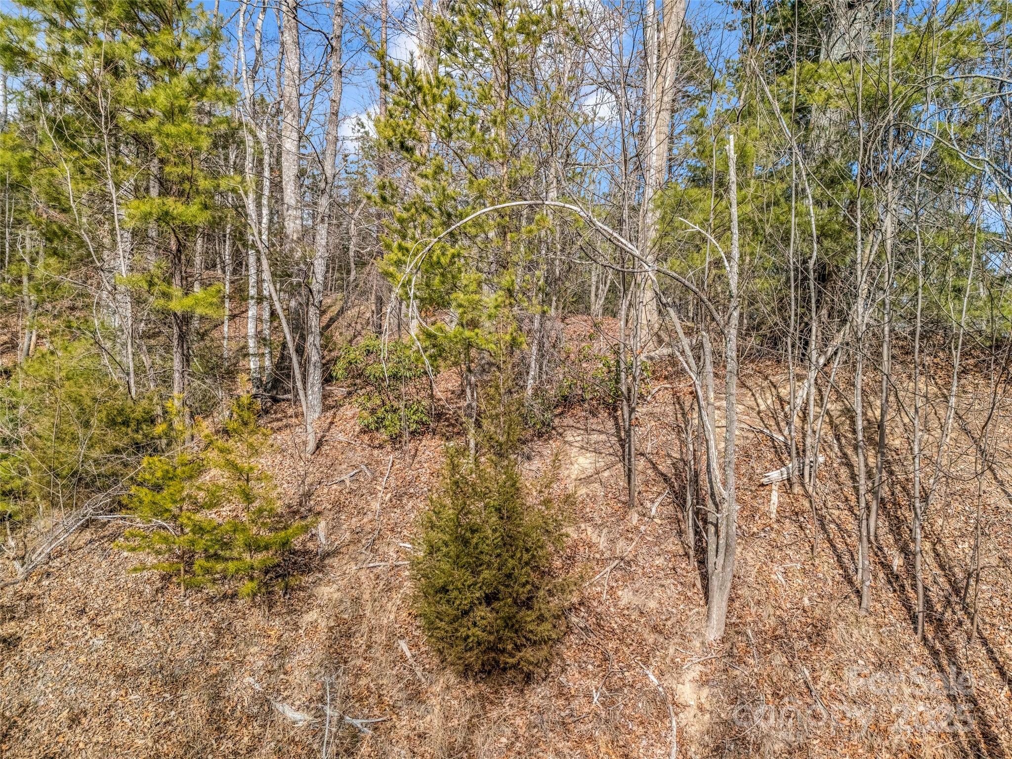 Lot 136 Deep Gap Farm Road East Mill Spring, NC 28756 - Photo 6 of 20