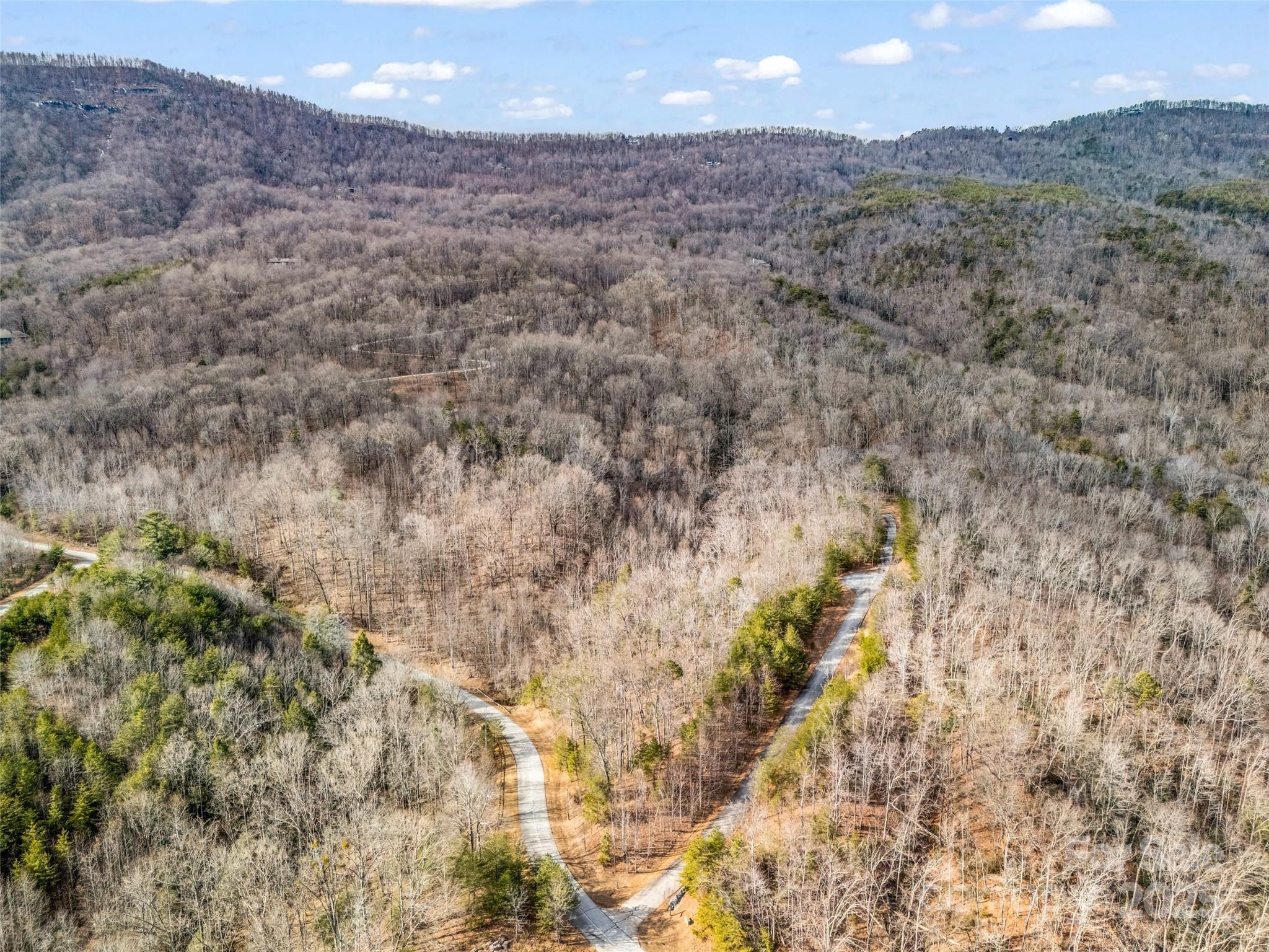 Lot 136 Deep Gap Farm Road East Mill Spring, NC 28756 - Photo 7 of 20