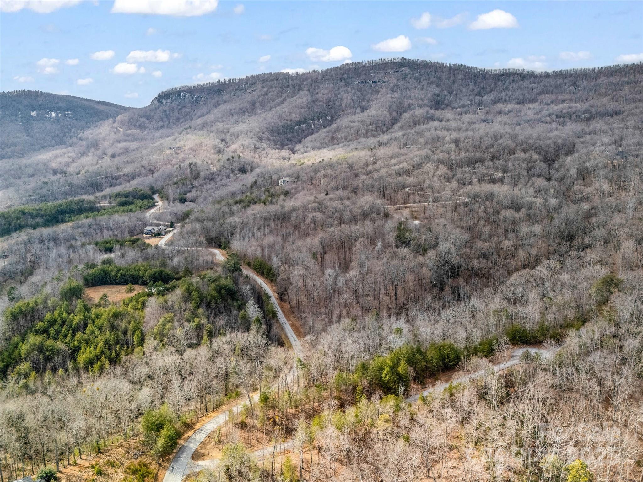 Lot 136 Deep Gap Farm Road East Mill Spring, NC 28756 - Photo 8 of 20