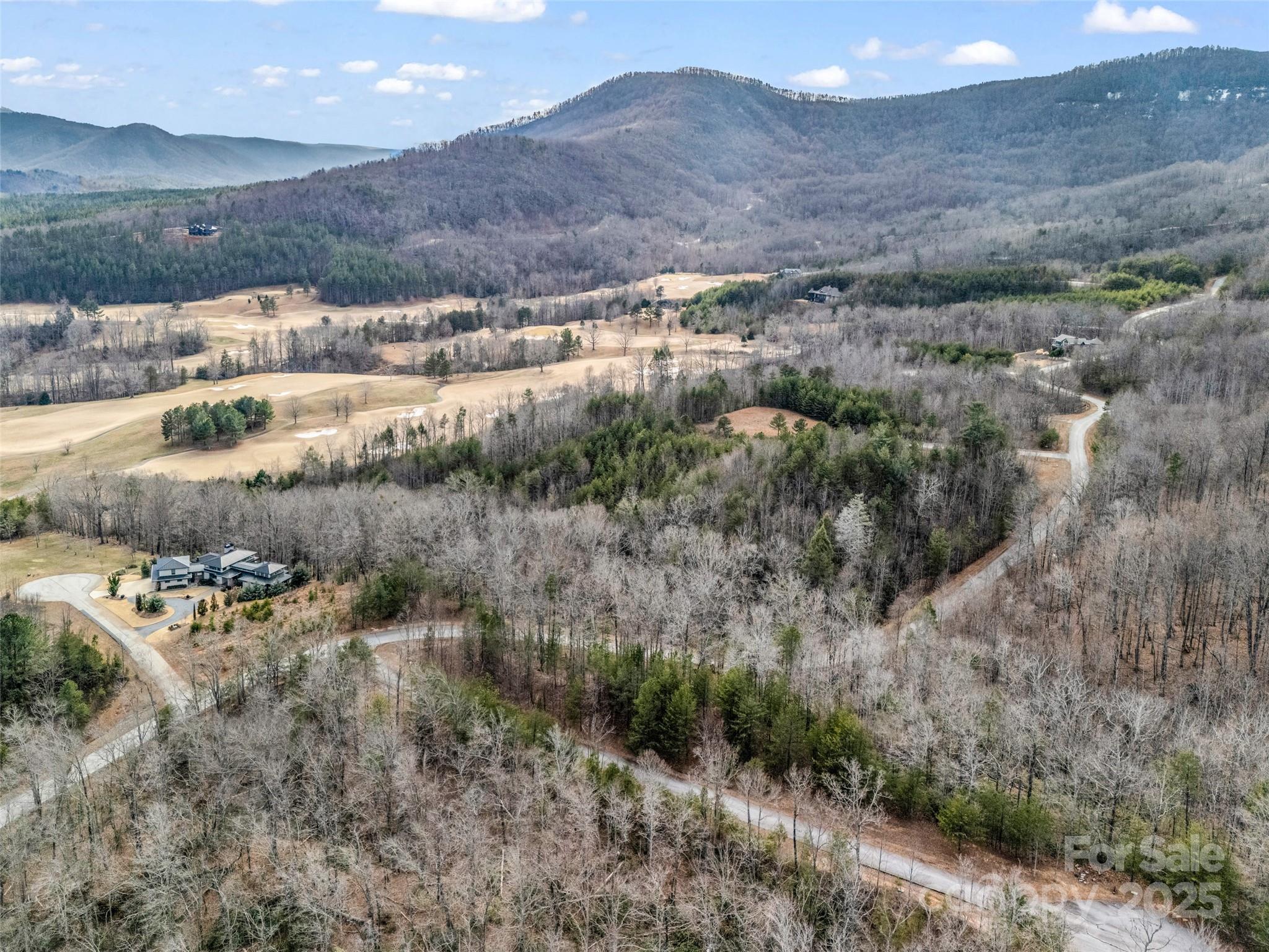 Lot 136 Deep Gap Farm Road East Mill Spring, NC 28756 - Photo 9 of 20
