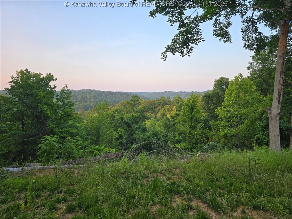 91 Hawk Ridge Road Milton, WV 25541 - Photo 2 of 19 Gallery Image 2