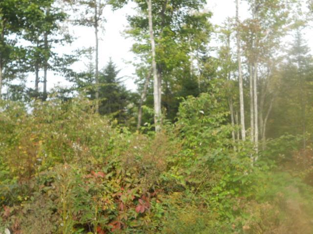 281 Bangor Road Stockton Springs, ME 04981 - Photo 21 of 21 Photo