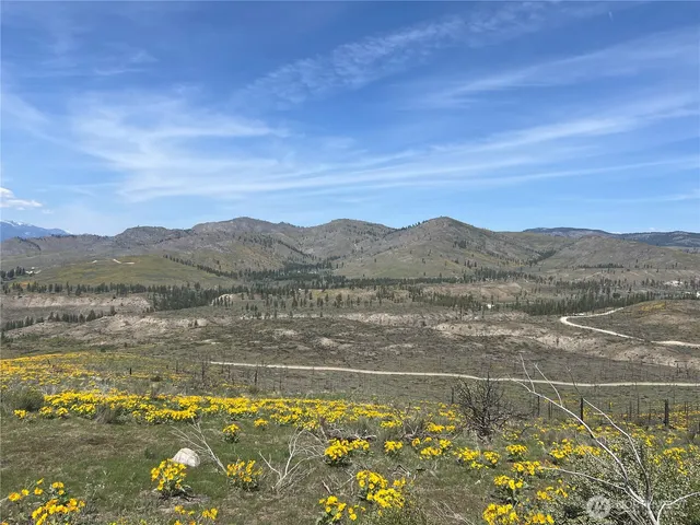 $95,000 | 0 Lot 4 High Ranch Road, Pateros, WA 98846