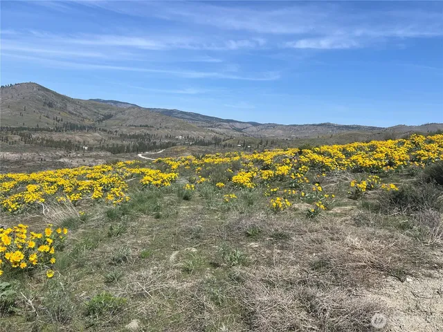 $95,000 | 0 Lot 4 High Ranch Road, Pateros, WA 98846