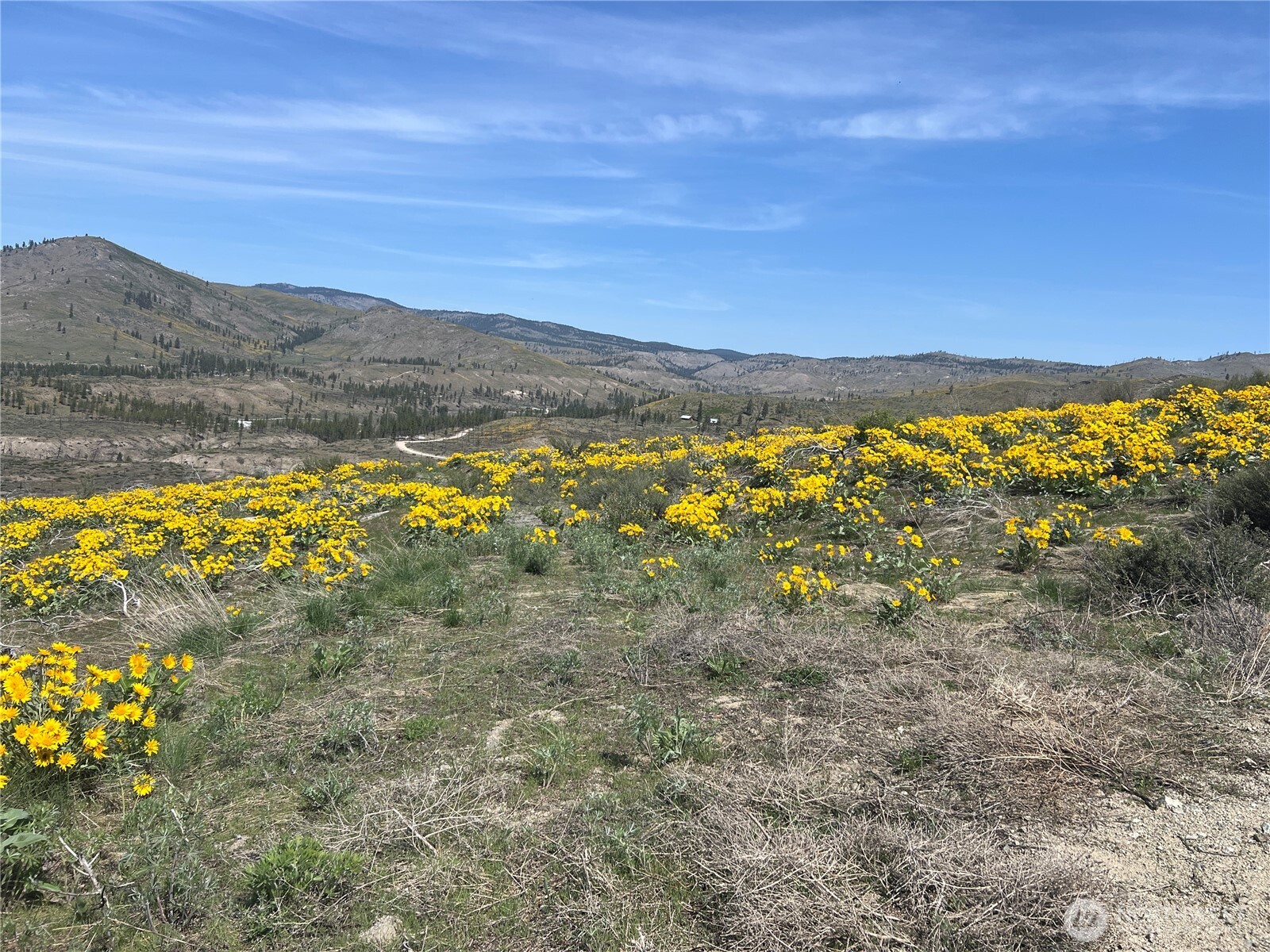 0 Lot 4 High Ranch Road Pateros, WA 98846 - Photo 4 of 6