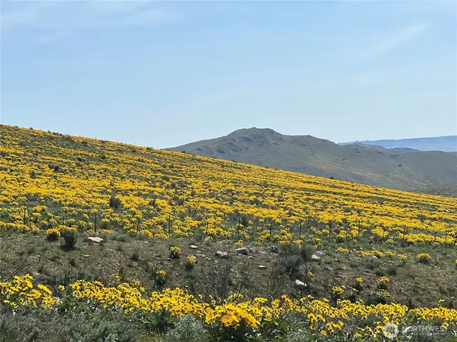 $95,000 | 0 Lot 4 High Ranch Road, Pateros, WA 98846