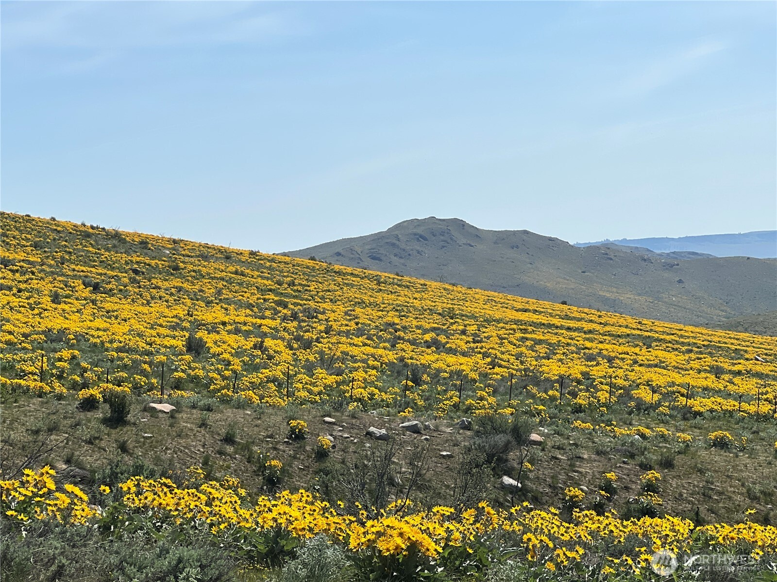 0 Lot 4 High Ranch Road Pateros, WA 98846 - Photo 6 of 6