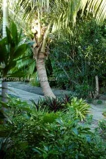 a view of yard with large trees