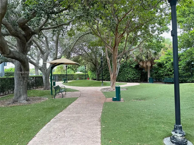 a view of a park with large trees
