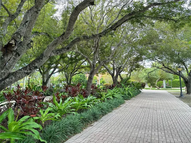 a view of a pathway with a tree