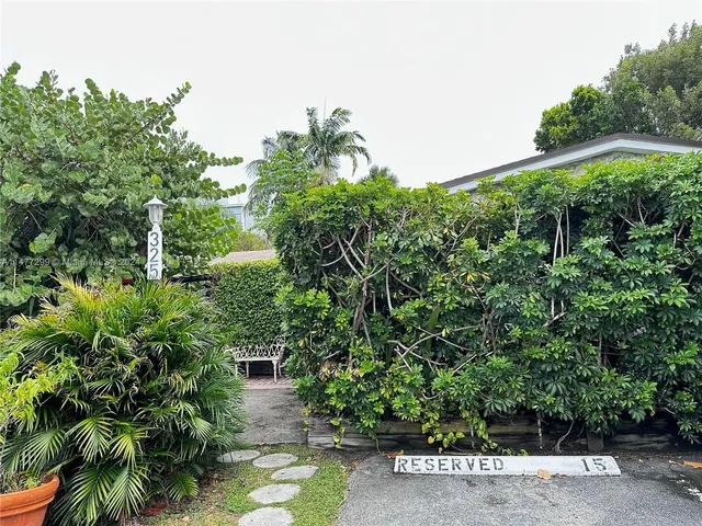 a view of a garden with plants