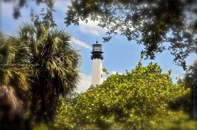 a picture of palm trees