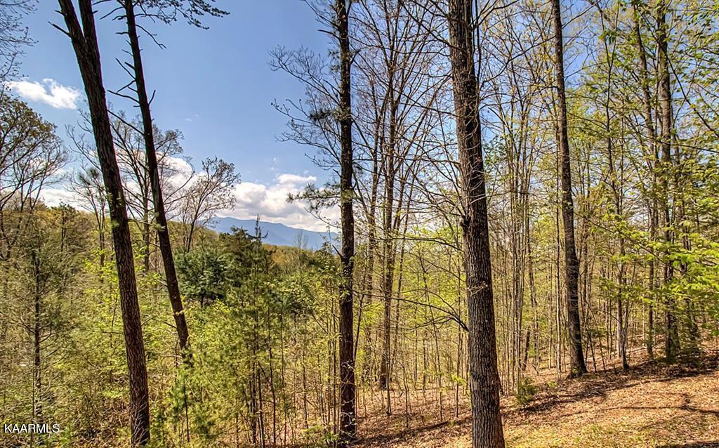 2229 Jared Road Sevierville, TN 37876 - Photo 54 of 57 258432_76