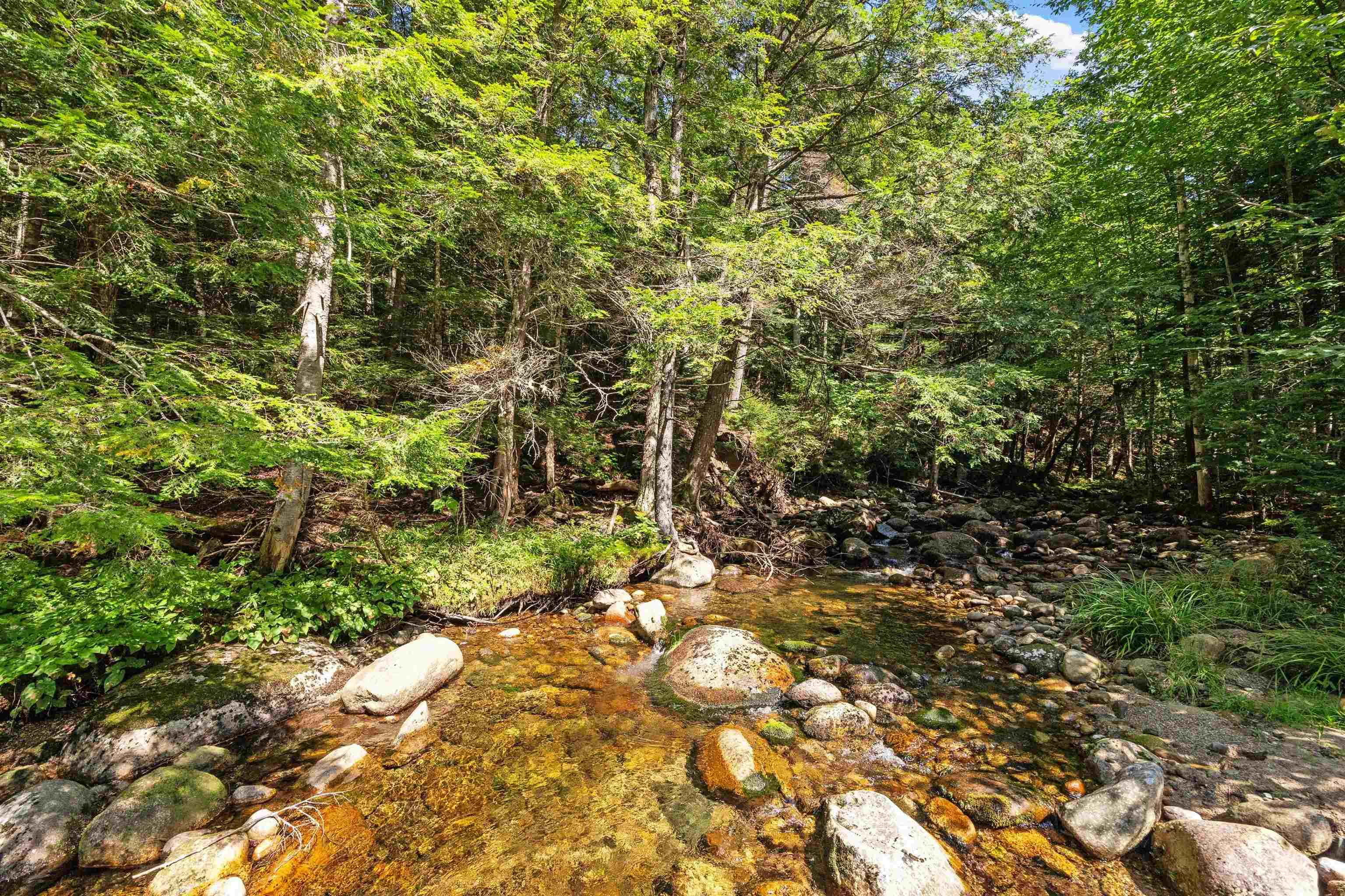 204 Johnson Brook Road Thornton, NH 03285 - Photo 18 of 35 Gallery Image 18