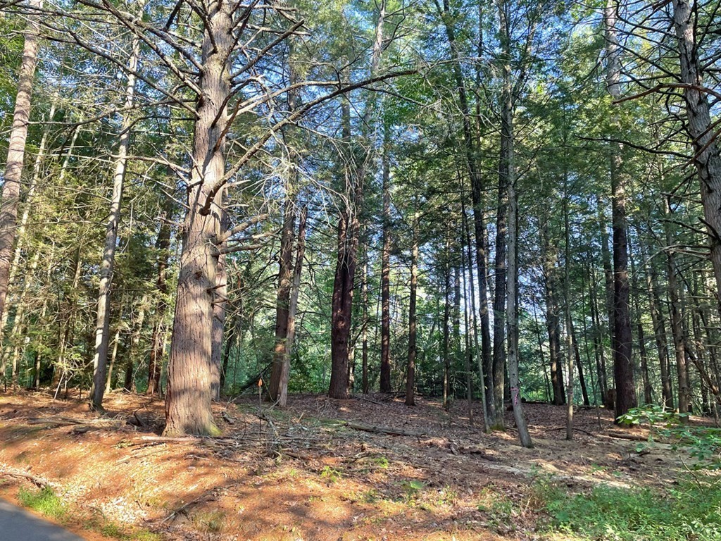 37 Fosters Road Montague, MA 01351 - Photo 6 of 7 Gallery Image 6