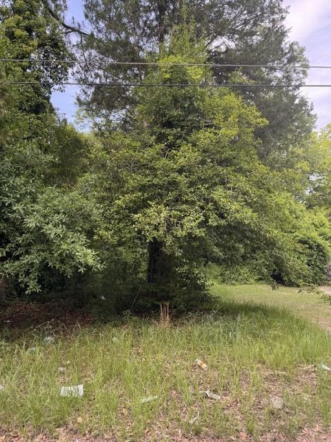 105 Gates Street Sumter, SC 29150 - Photo 3 of 3