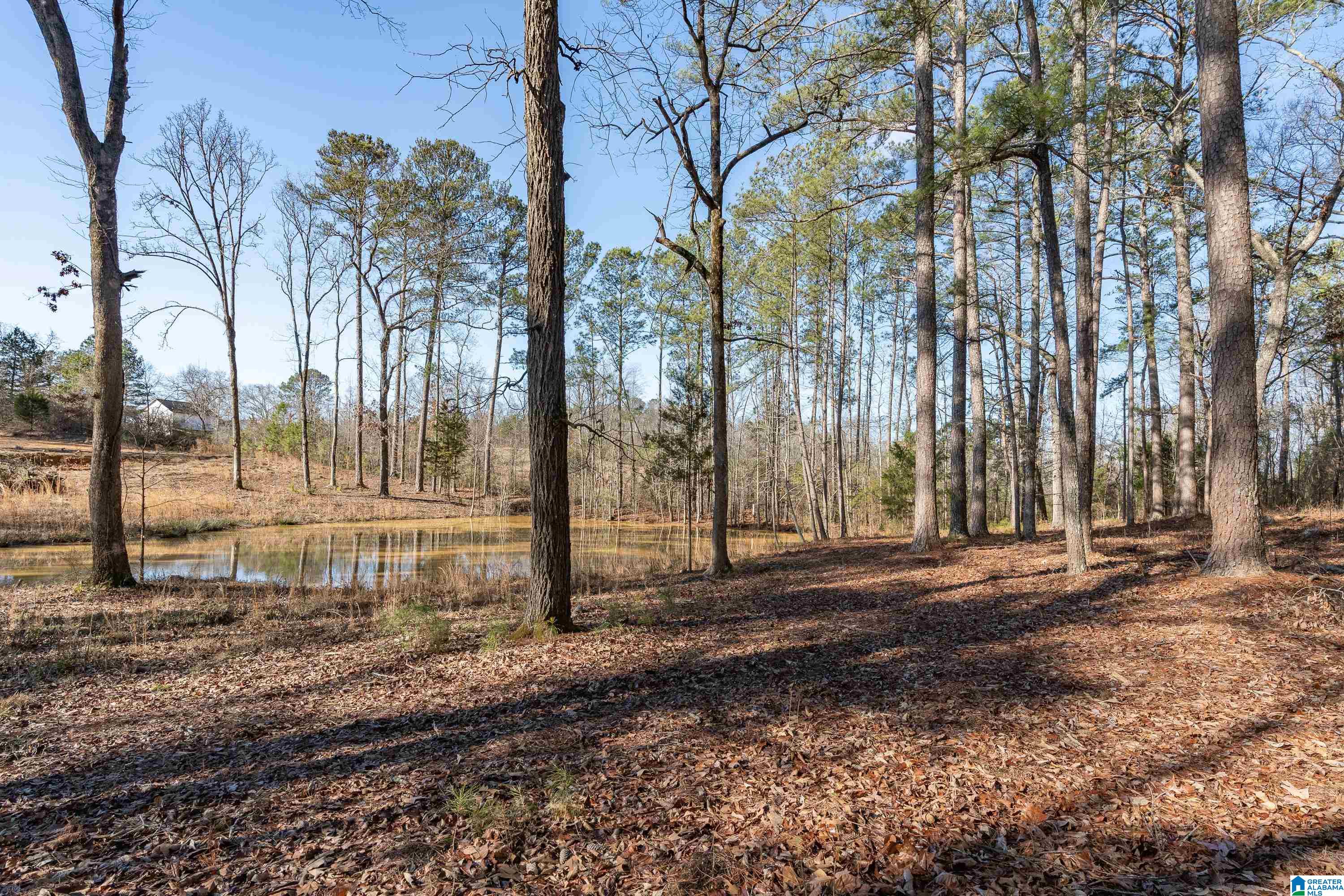 510 Cobb Road, Unit 1 Oxford, AL 36203 - Photo 20 of 22