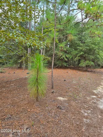 $174,000 | 317 R J Johnson Road, Martin, SC 29836