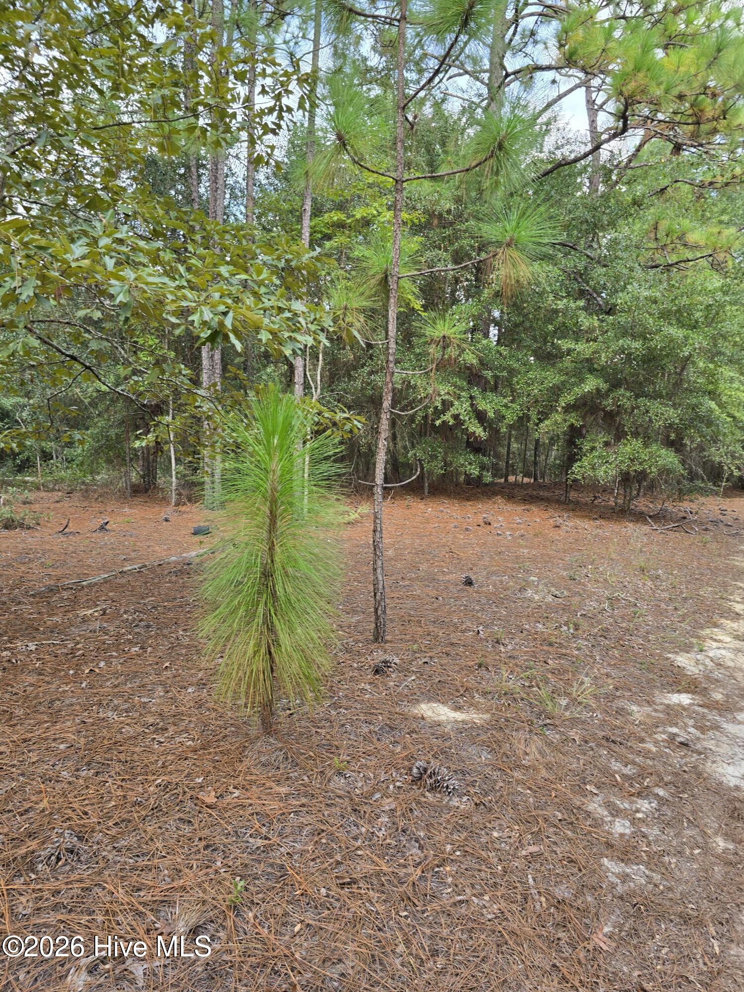 317 R J Johnson Road Martin, SC 29836 - Photo 1 of 8
