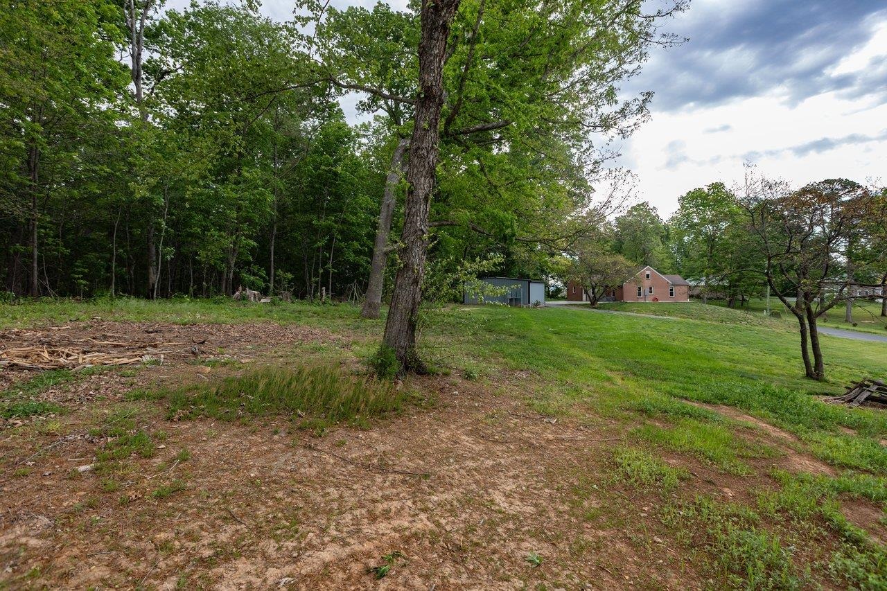 547 Grindstone Road Bridgewater, VA 22812 - Photo 49 of 57 a view of a tree in a yard