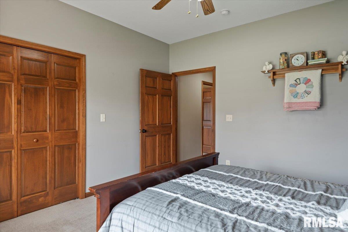 29 Elizabeth Place Jacksonville, IL 62650 - Photo 26 of 56