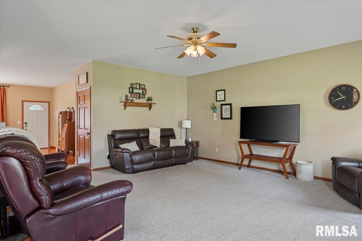 29 Elizabeth Place Jacksonville, IL 62650 - Photo 9 of 56
