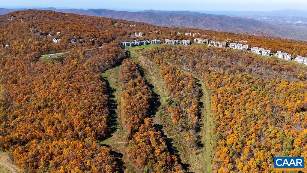 1469 The Ledges Roseland, VA 22967 - Photo 27 of 35