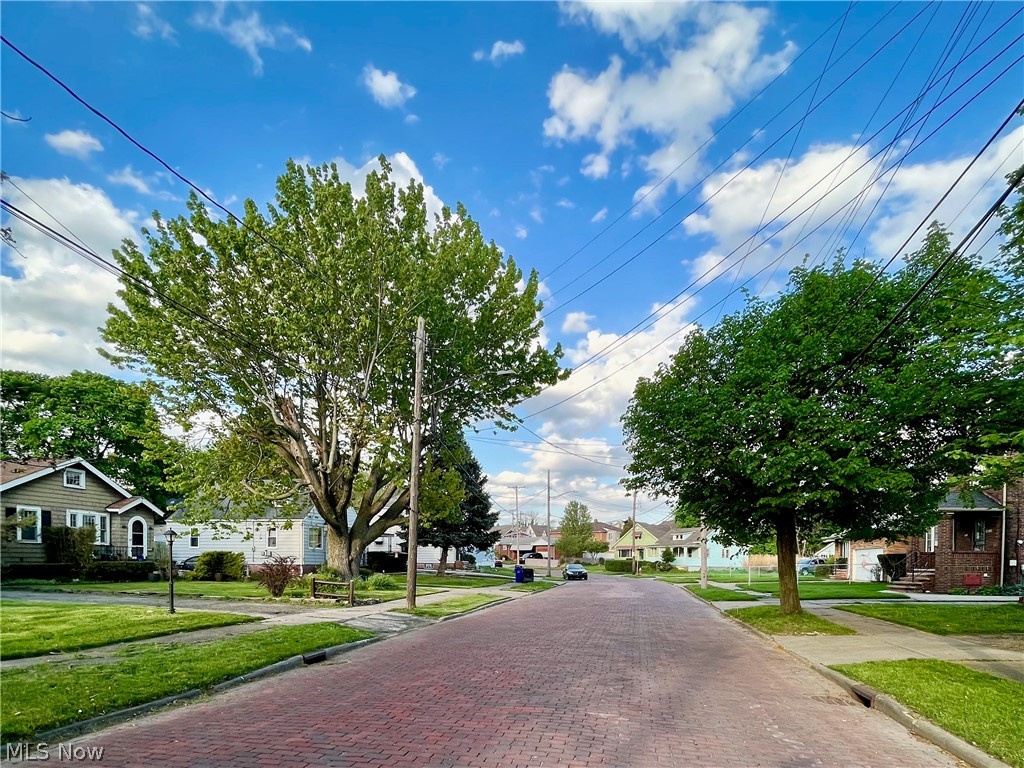 17902 Brazil Road Cleveland, OH 44119 - Photo 21 of 25 View of road