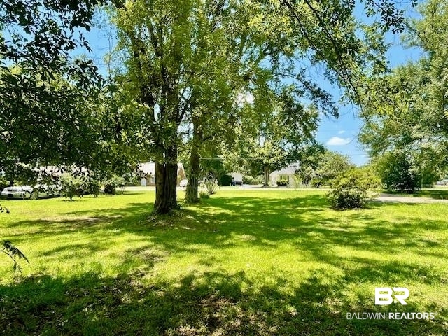 0 West Carolyn Avenue Foley, AL 36535 - Photo 2 of 18