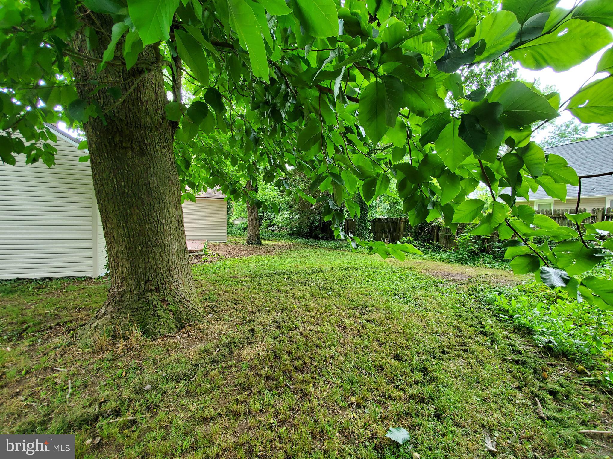16 Wayne Road Bridgeton, NJ 08302 - Photo 34 of 37 Side yard
