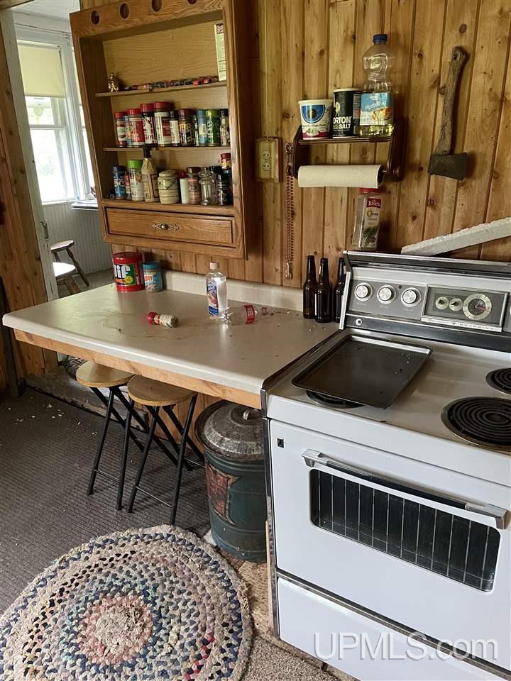 N19598 Swede Road Perronville, MI 49873 - Photo 56 of 59