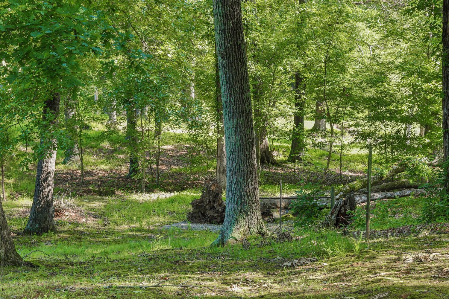 866 Oak Grove Road Dresden, TN 38225 - Photo 36 of 48 Photo 36