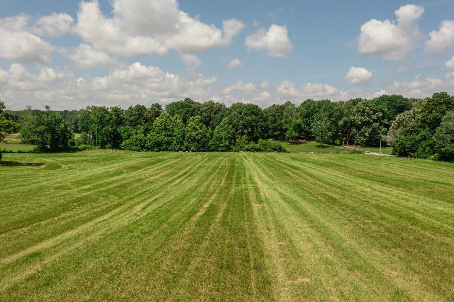 866 Oak Grove Road Dresden, TN 38225 - Photo 46 of 48 Photo 46