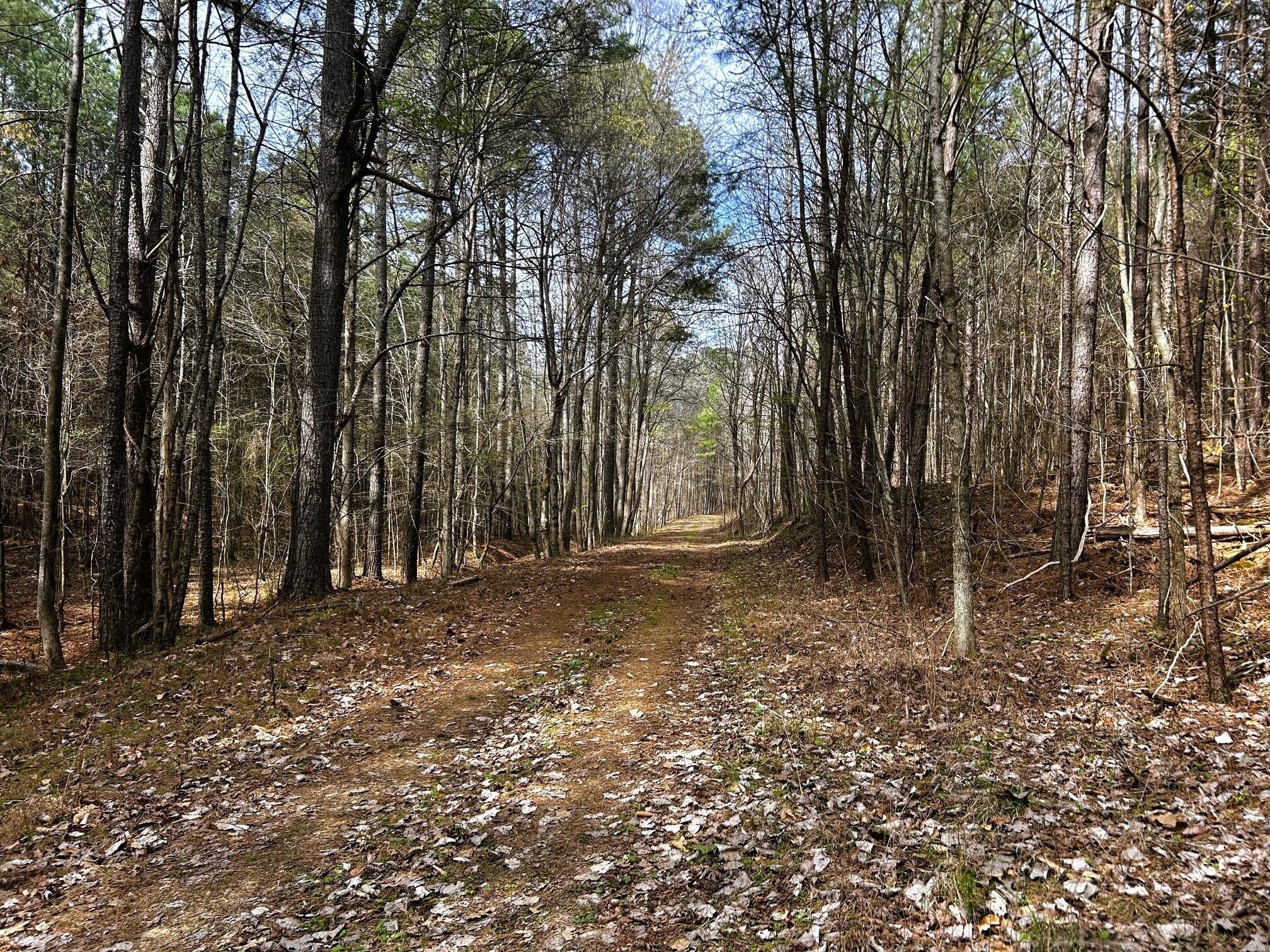 7 Southwest Owl Hollow Road McDonald, TN 37353 - Photo 6 of 32