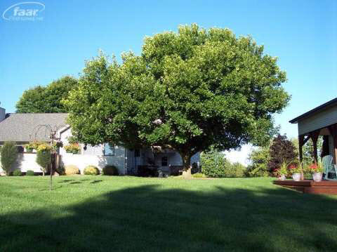 10095 Irish Road Goodrich, MI 48438 - Photo 59 of 70 20420762-67.JPG