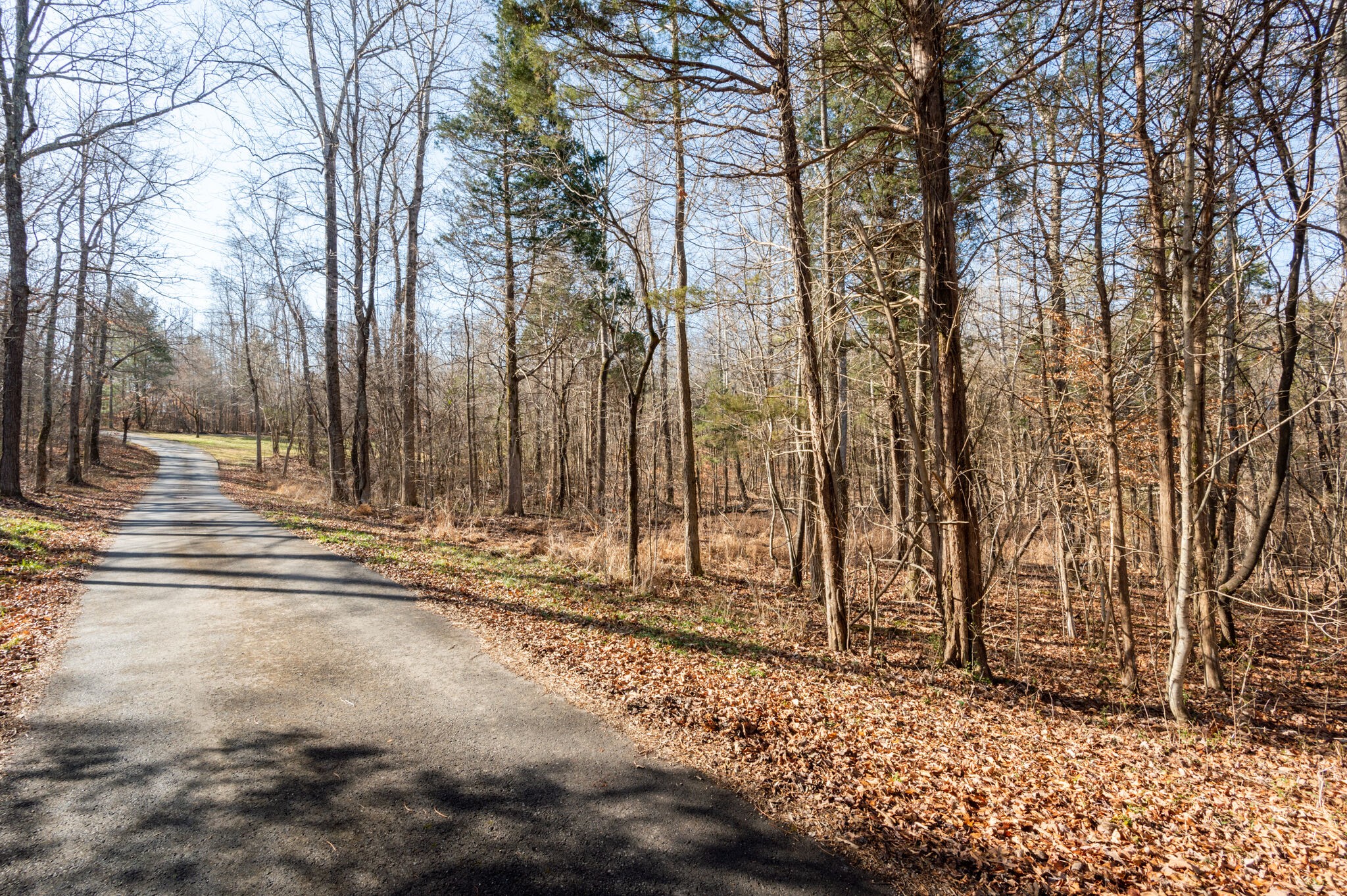 970 Stewart Road Dickson, TN 37055 - Photo 2 of 38 Gallery Image 2