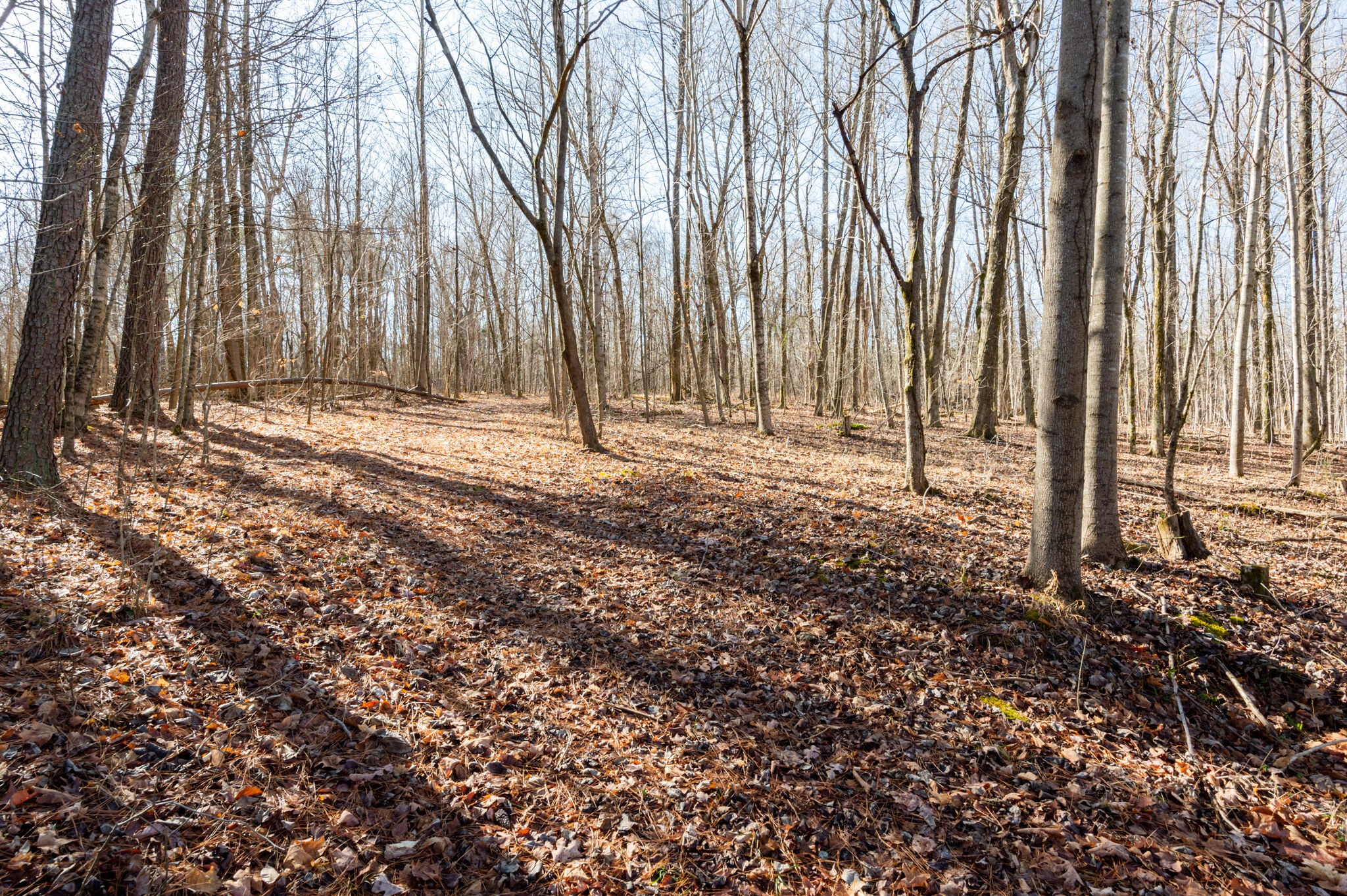 970 Stewart Road Dickson, TN 37055 - Photo 15 of 38 Gallery Image 15